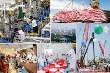 Đốc tiến độ triển khai thi hành Luật Doanh nghiệp và Luật Đầu tư